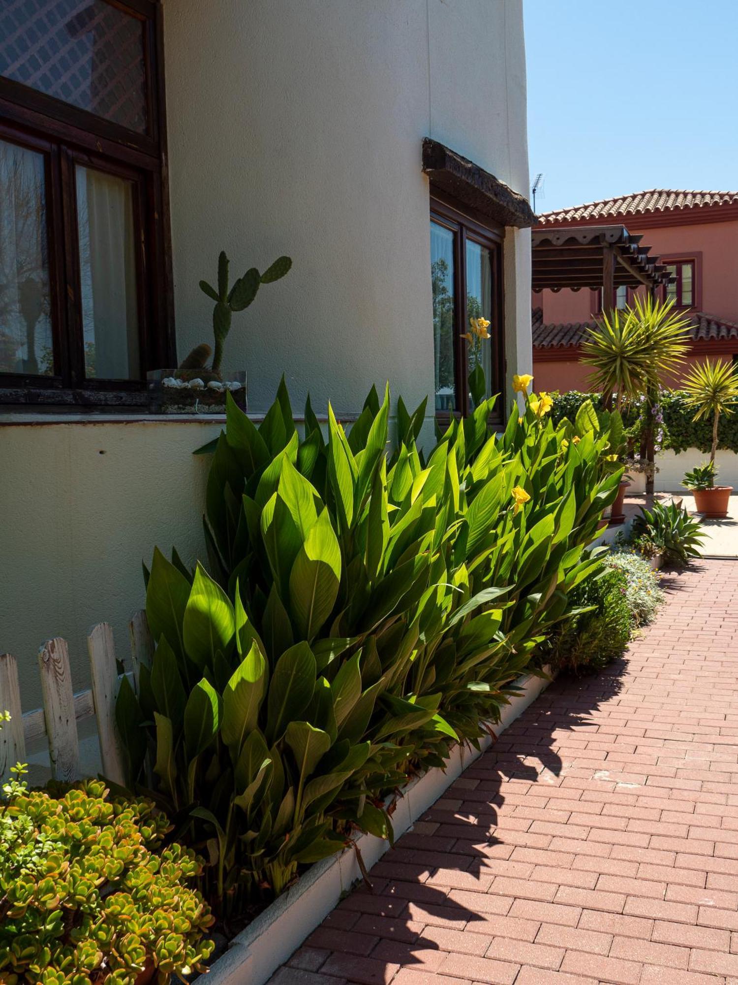 Villa Ibicenca Love Benalmádena Zewnętrze zdjęcie